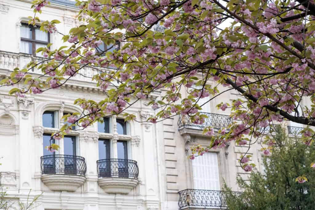 parc monceau the best places to picnic in Paris