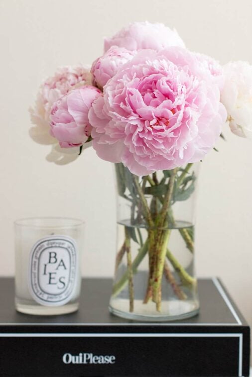 How To Take Care of Your Diptyque Candle