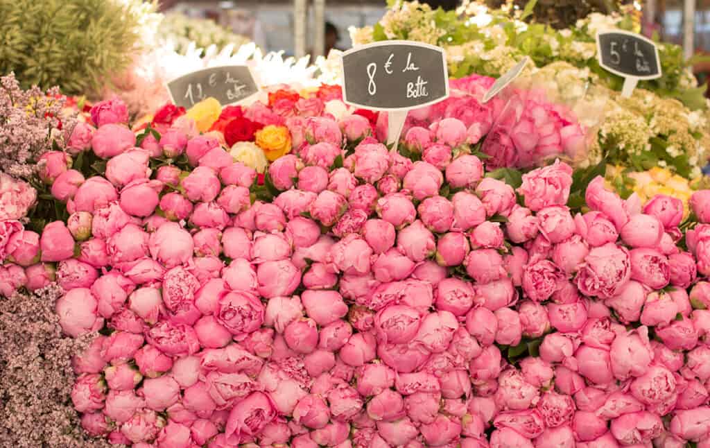 Paris bastille market peonies in the summer