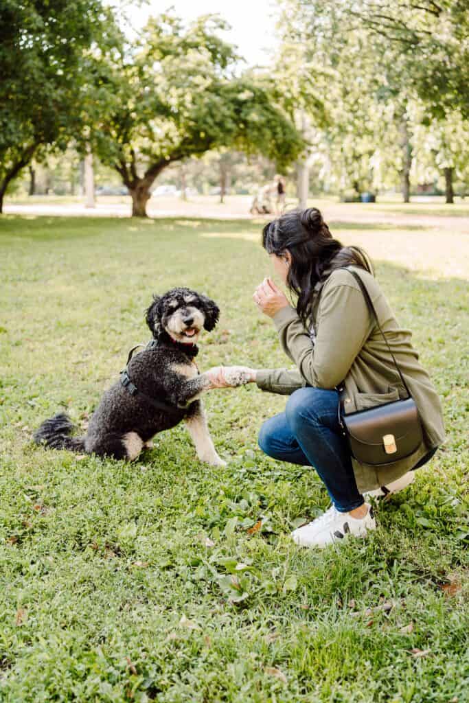 Henri and me. Will jacket Sézane and Claude Bag