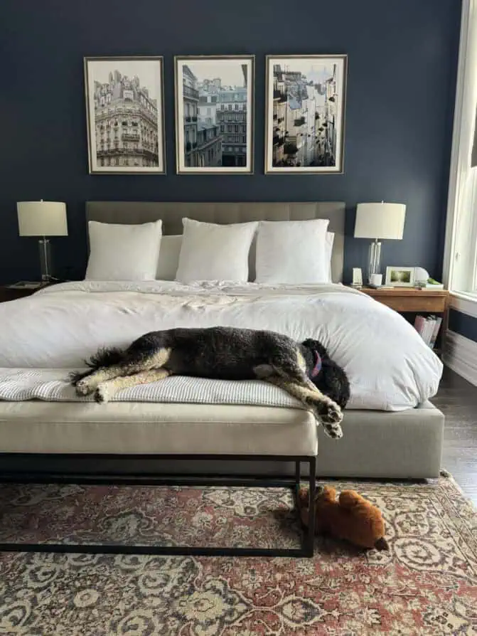 Boll and Branch bedding