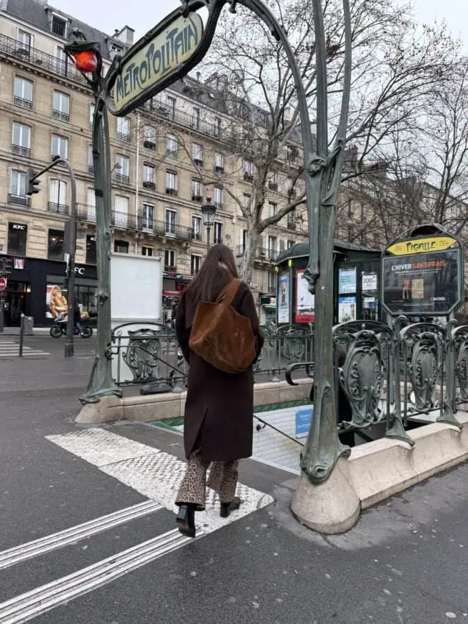 chocolate brown and leopard Paris