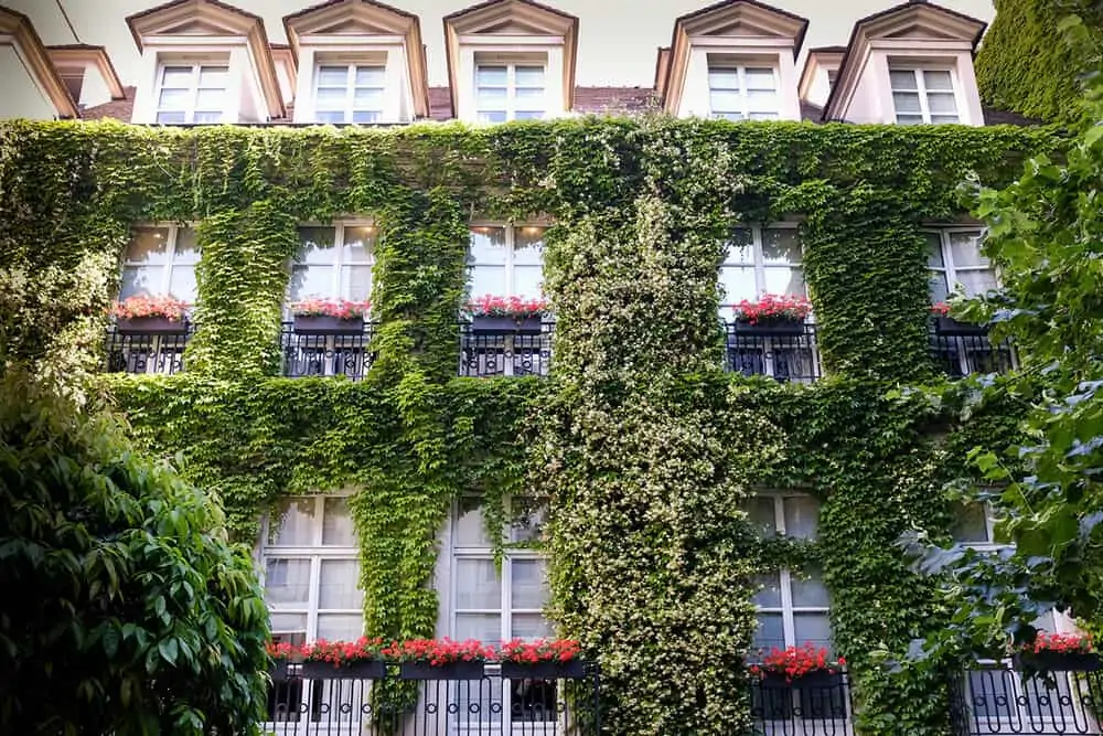 the best hotels for a honeymoon in paris everyday parisian