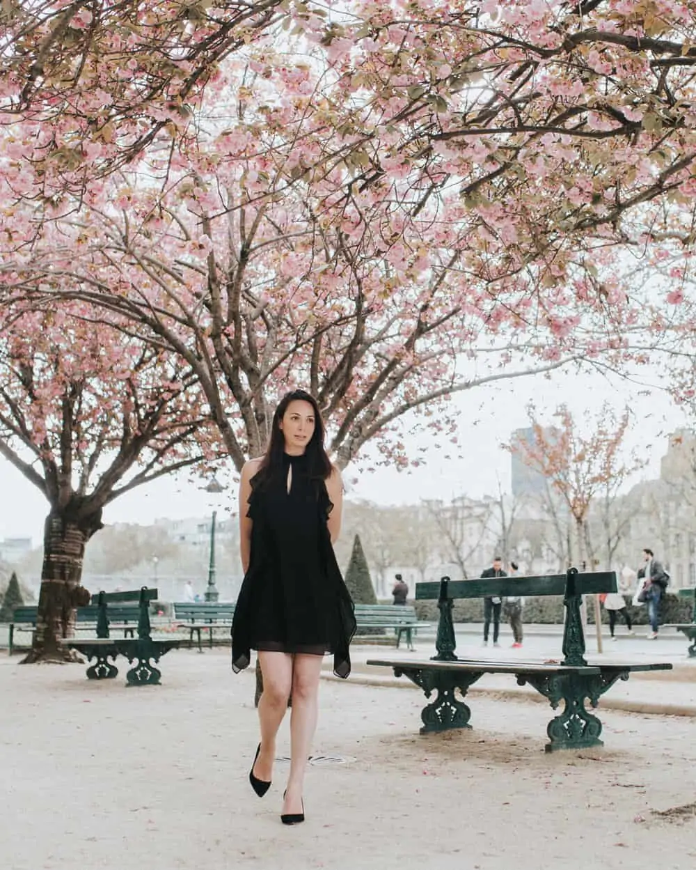 10 places to see the cherry blossoms bloom in paris