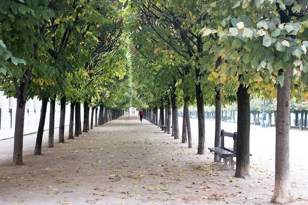 palais royal in the fall