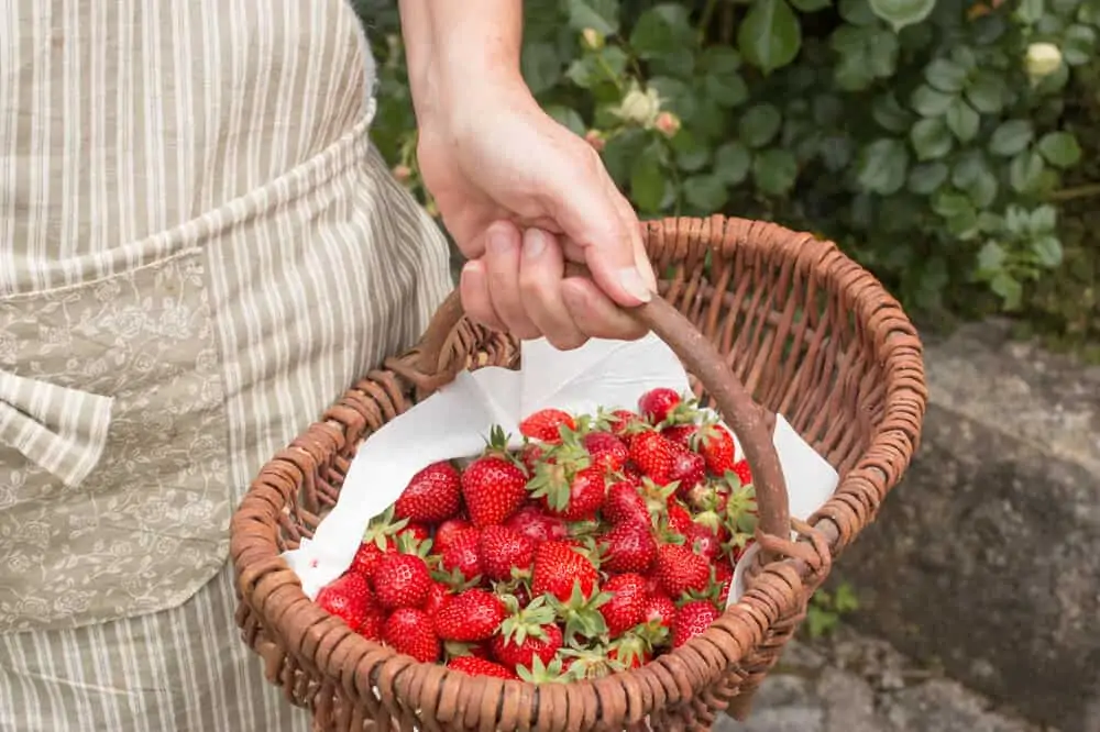 how to frenchify your Spring