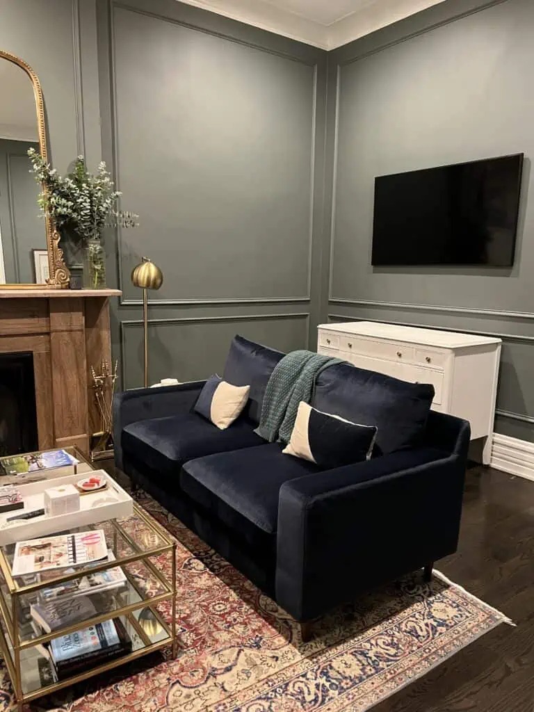 living room couch and tv