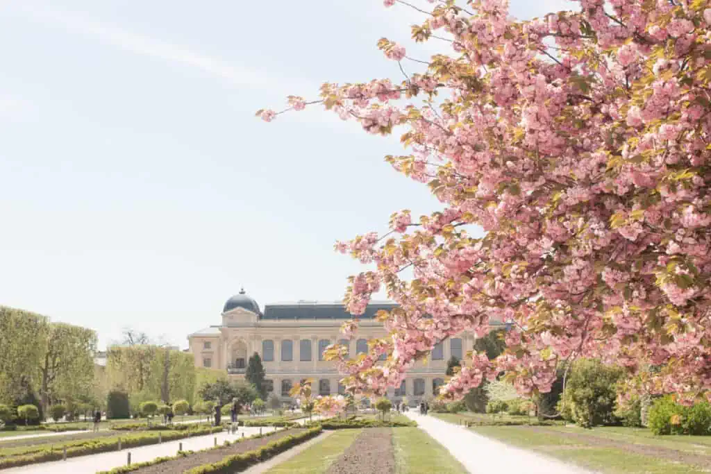 jardin des plantes paris in bloom