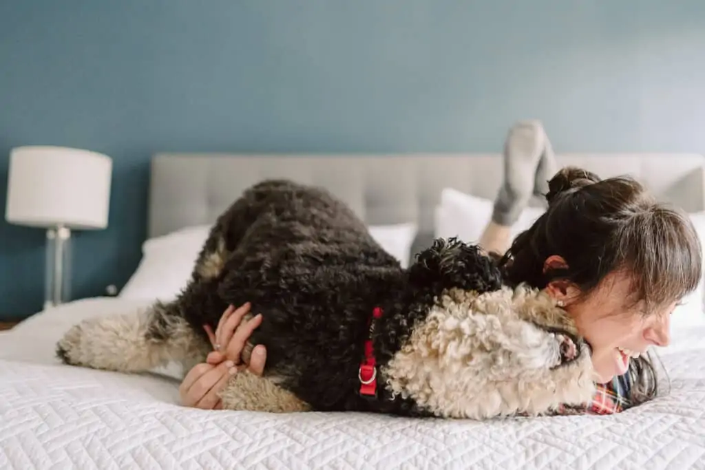 everyday parisian and her dog