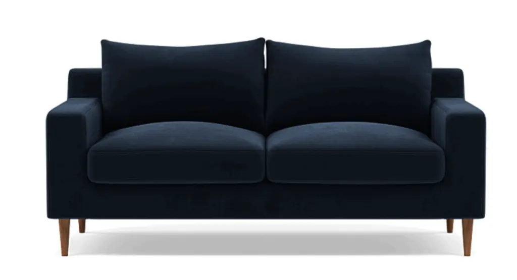 blue couch