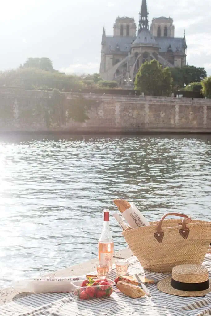 Seine picnic Paris Notre Dame