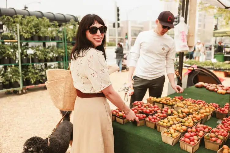 Dahlia blouse Sézane